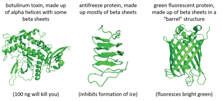 protein variety